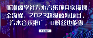 听潮阁学社汽水音乐项目实操课全流程,2023超级蓝海项目,汽水音乐推广,0粉丝也能做!网赚项目-副业赚钱-互联网创业搜易资源网